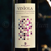 Cannonau di Sardegna Vinìola Riserva 2015 Dorgali