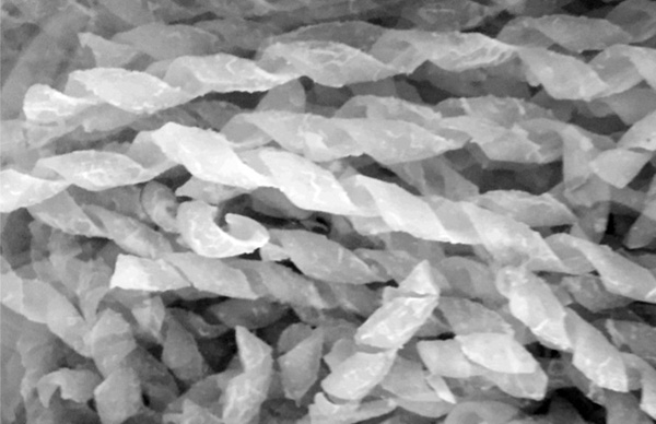 Fusilli lunghi a mano del Pastificio Pagano