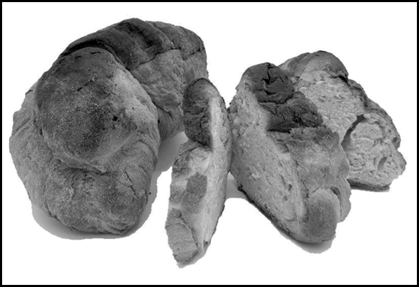 LA GLOTTIDE 6: IL PESCE