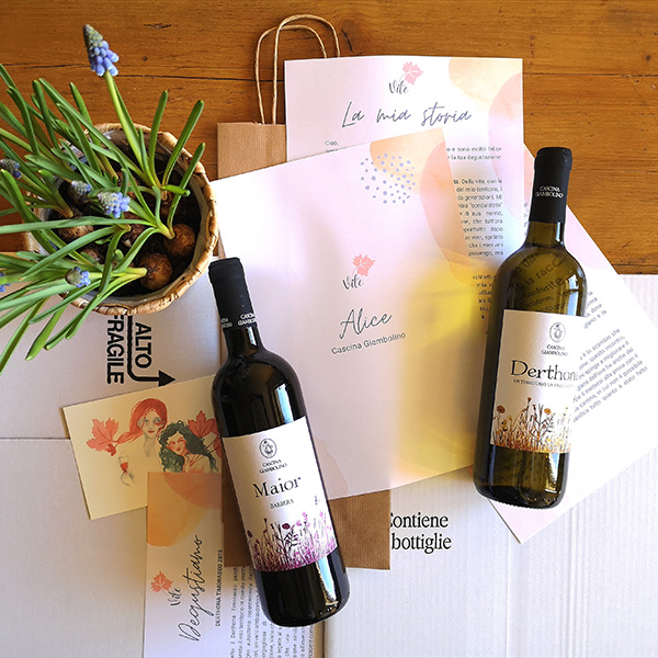 cofanetto vini Castellani