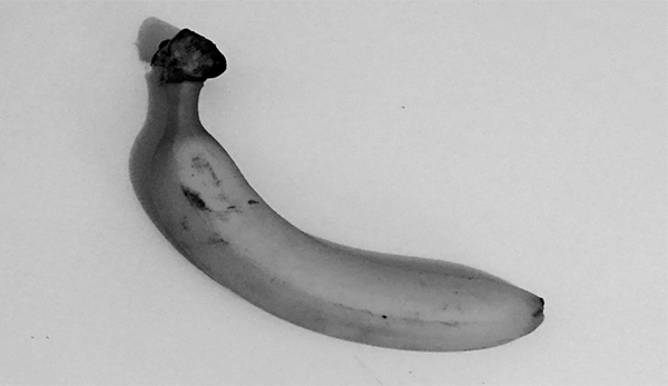 Still life. Pensando a Nico.