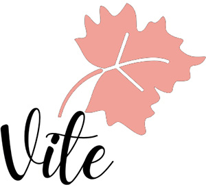 logo Vite