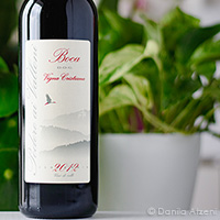 Boca Vigna Cristiana 2012 Podere ai Valloni