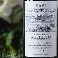 Chianti Classico Gran Selezione Casi 2017