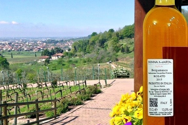 Donna Marta Rosa 2015