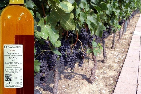 Donna Marta Rosa 2016