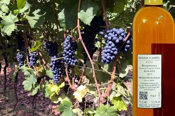 Donna Marta Rosa 2017