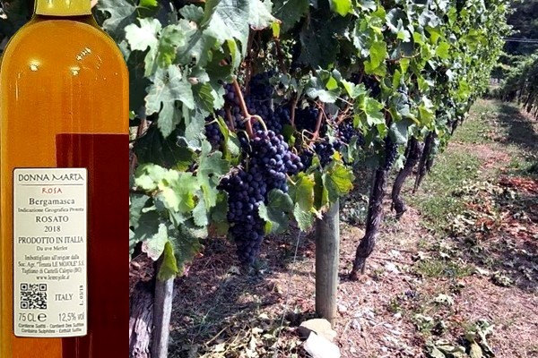 Donna Marta Rosa 2018