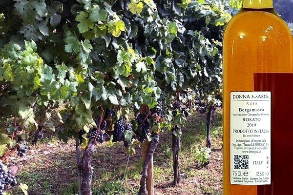 Donna Marta Rosa 2019