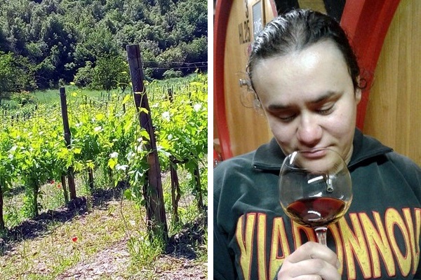 azienda agricola Ferro