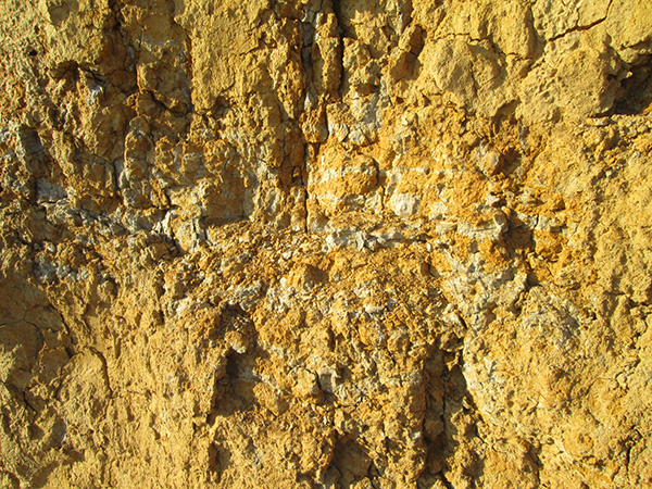 composizione suolo zona del Fara