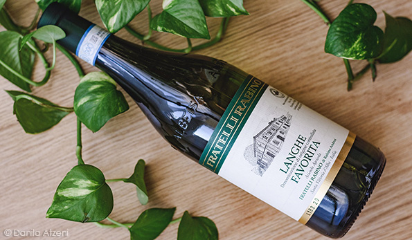 Langhe Favorita 2019 Fratelli Rabino