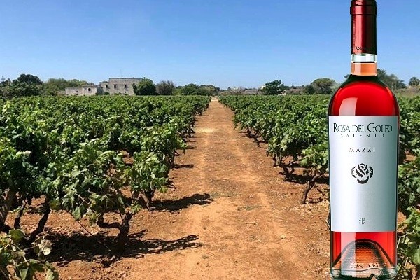 Salento Igp Negroamaro Rosato ”Mazzì” 2018 Rosa del Golfo