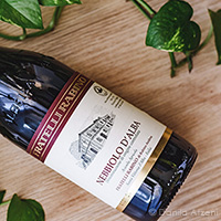 Nebbiolo d'Alba 2018 Fratelli Rabino