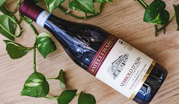 Nebbiolo d'Alba 2018 Fratelli Rabino