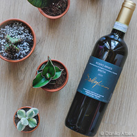 Roero Arneis Bastia 2020 Battaglino