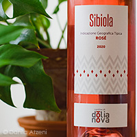 Rosé Sibiola 2020 Cantine di Dolianova