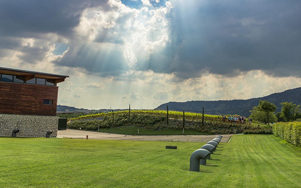 Vigneti e cantina Barone Pizzini