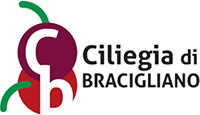 logo Ciliegia di Bracigliano Igp