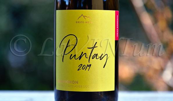 Sauvignon Puntay 2019 Erste+Neue