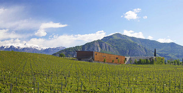 Vigneti e cantina Barone Pizzini