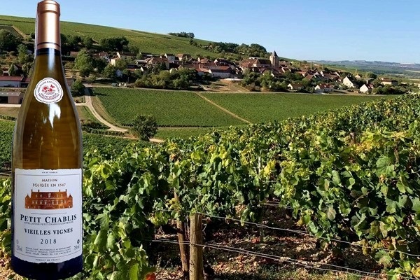 Petit Chablis Vieilles Vignes 2018 Domaine Dampt