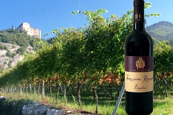 Teroldego Rotaliano Bagolari 2017 Marco Donati