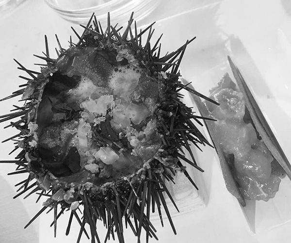 Riccio, Campari e Gin. Valerio Di Mattia