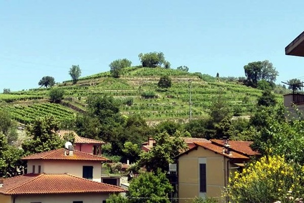 Azienda agricola Le Regge