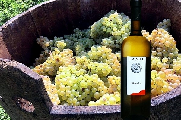 Venezia Giulia Vitovska 2018 Edi Kante