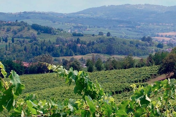 Tenuta Borgolano