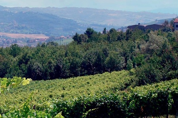 Tenuta Borgolano