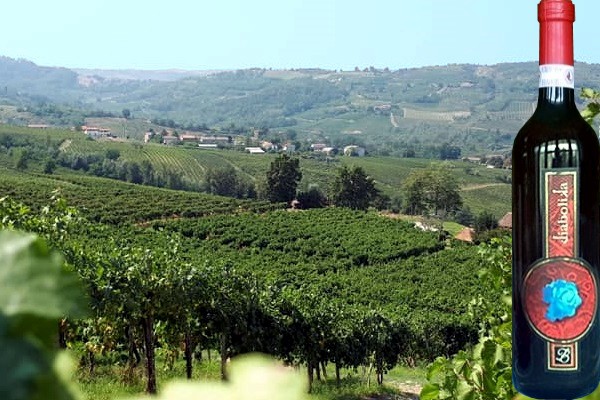 Oltrepò Pavese Barbera Diabolika Riserva 2009