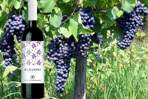 Barando vino frizzante rosso L02040