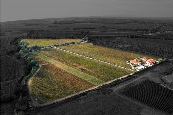 Campo alla Sughera