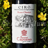 Cirò Rosso Classico 2019 Baroni Capoano