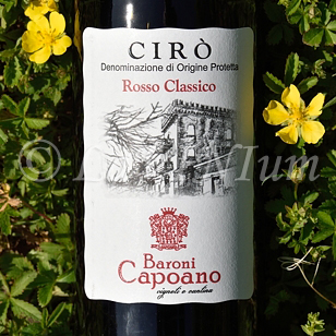 Cirò Rosso Classico 2019 Baroni Capoano
