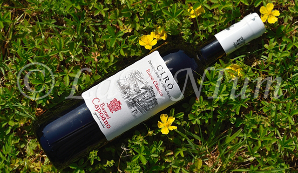 Cirò Rosso Classico 2019 Baroni Capoano