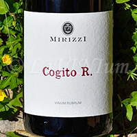 Cogito R. 2019 Mirizzi