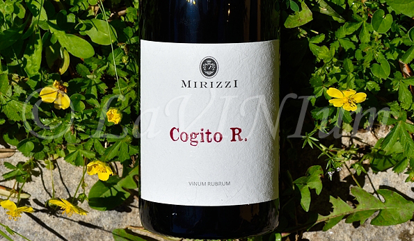 Cogito R. Vinum Rubrum Mirizzi 2019 Montecappone