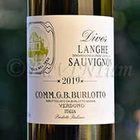 Langhe Sauvignon Dives 2019 Burlotto