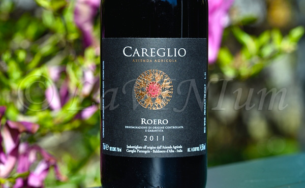 Roero 2011 Careglio