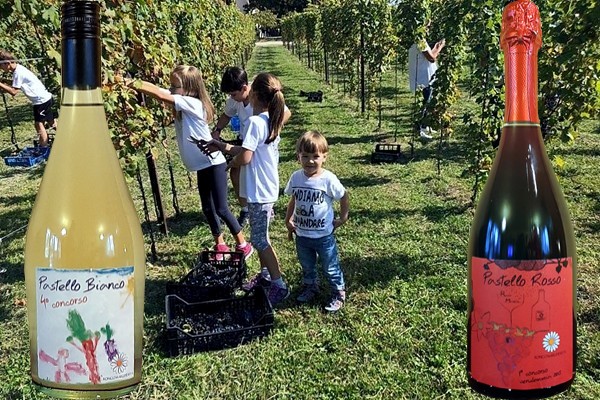 Pastello Bianco Vino Frizzante sur lie 4° Concorso