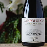 Barbera d'Asti Campolungo 2019 Cascina Vèngore