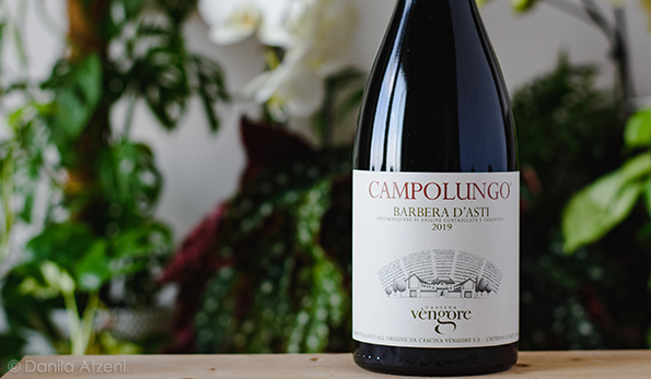 Barbera d'Asti Campolungo 2019 Cascina Vèngore