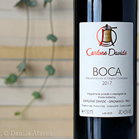 Boca 2017 Davide Carlone