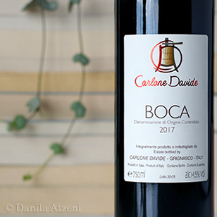 Boca 2017 Davide Carlone