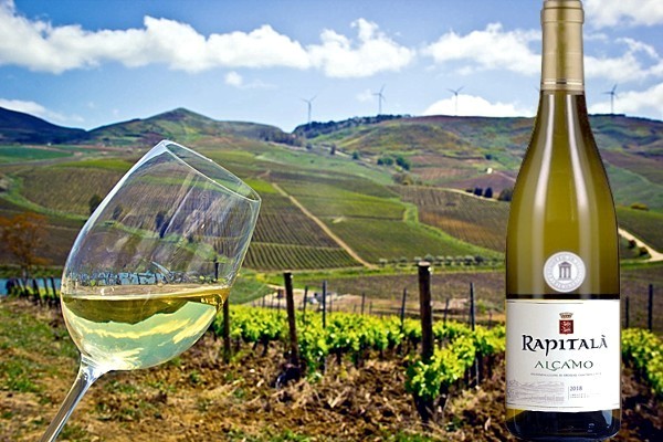 Alcamo Bianco 2018 della Tenuta Rapitalà