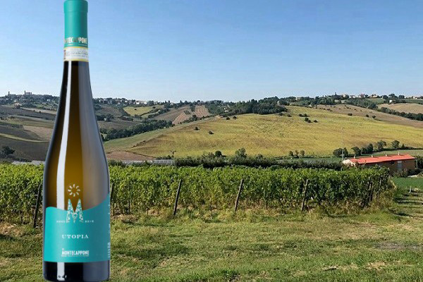 Utopia 2018 Montecappone