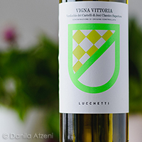 Verdicchio dei Castelli di Jesi Classico Superiore Vigna Vittoria 2018 Lucchetti
